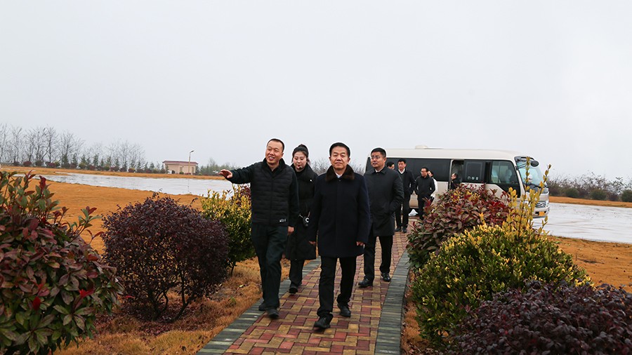 45-2020年12月，省高級人民法院黨組成員、副院長任建國蒞臨金徽股份調(diào)研知識產(chǎn)權(quán)司法保護(hù)工作。.jpg